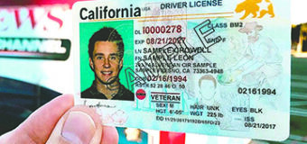 Cómo Tramitar una Licencia de Conducir en  Estados Unidos Sin Tener Papeles