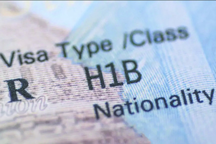 Por qué cayeron tanto las solicitudes de la Visa H-1B